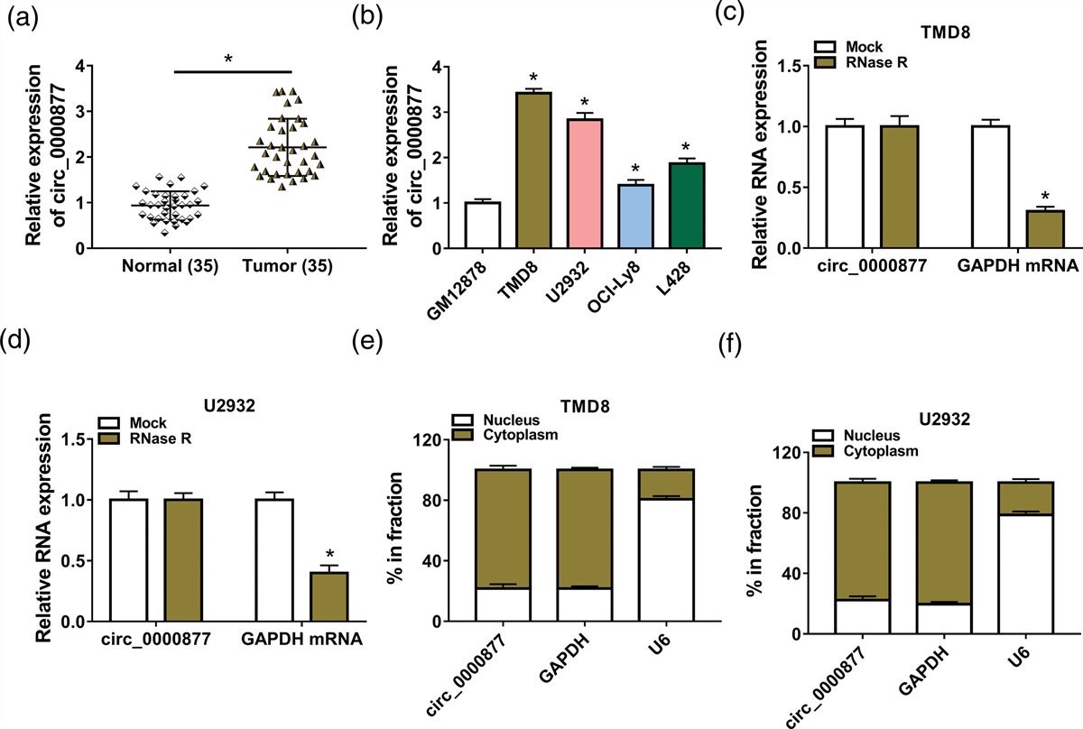 Hsa_circ_0000877 facilitates the progression of diffuse large B-cell lymphoma by miR-370-3p/mitogen-activated protein kinase kinase kinase kinase 4/Hippo pathway