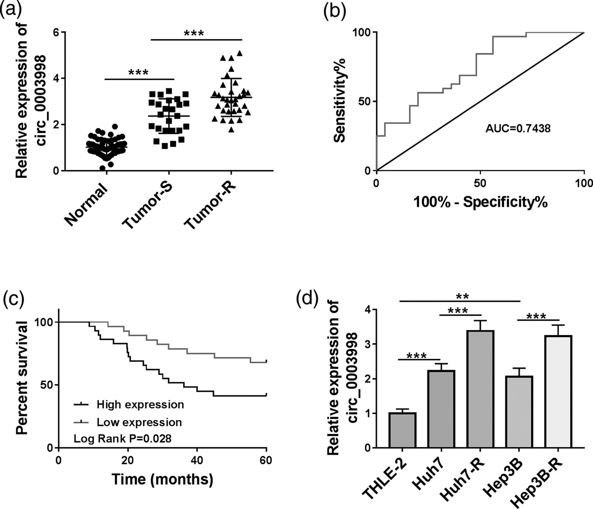 Circ_0003998 upregulates ARK5 expression to elevate 5-Fluorouracil resistance in hepatocellular carcinoma through binding to miR-513a-5p