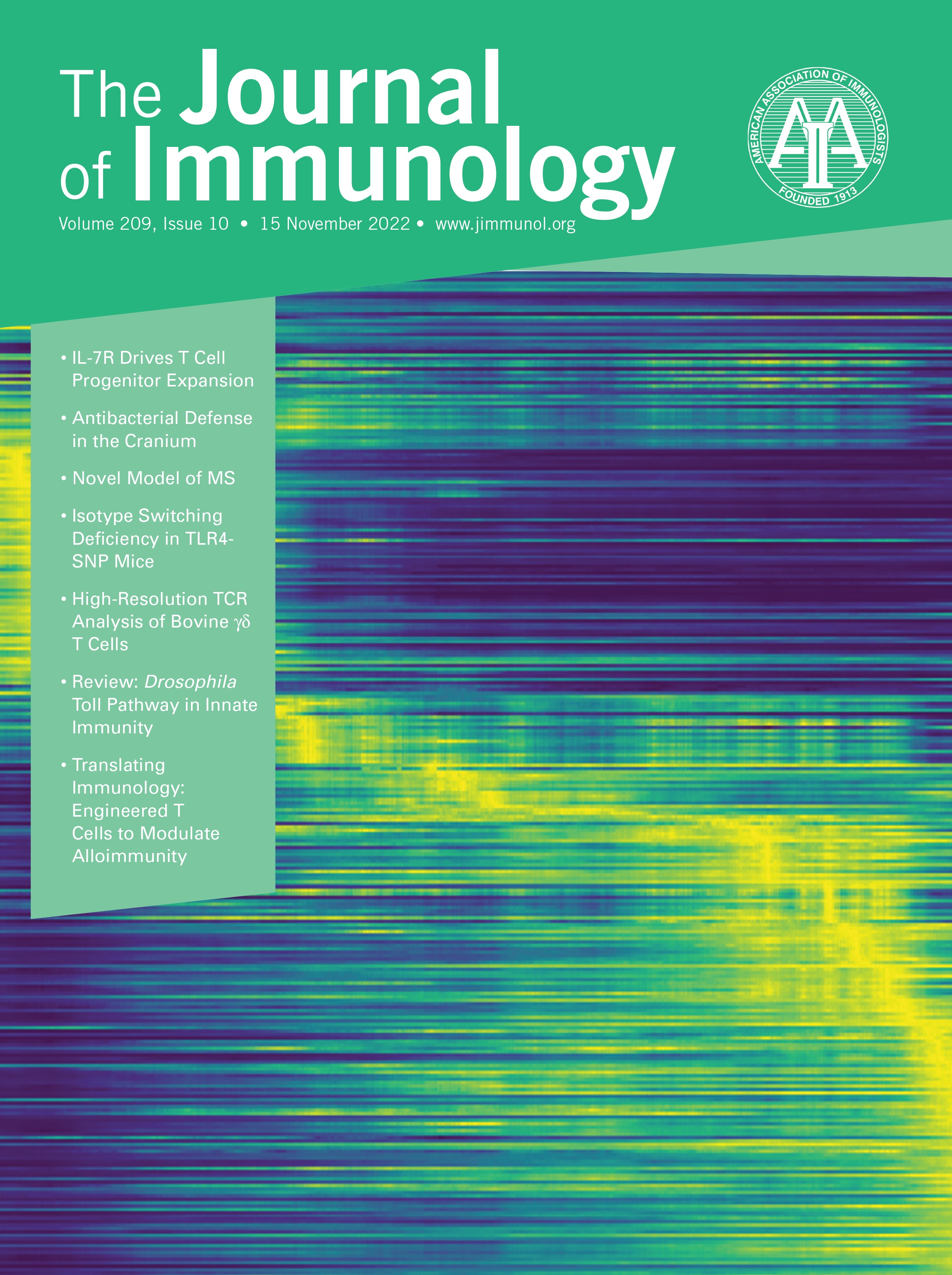 Mechanisms of Corticosteroid Resistance in Type 17 Asthma [ALLERGY AND OTHER HYPERSENSITIVITIES]