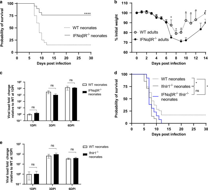 Severity of neonatal influenza infection is driven by type I interferon and oxidative stress