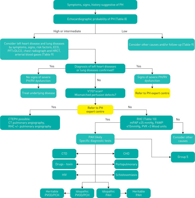 Pulmonary Arterial Hypertension in Connective Tissue Diseases Beyond Systemic Sclerosis