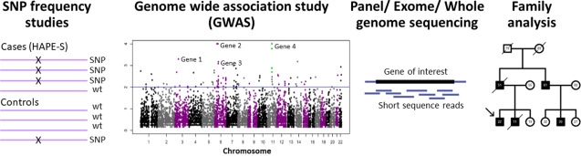 Genetics of High-Altitude Pulmonary Edema