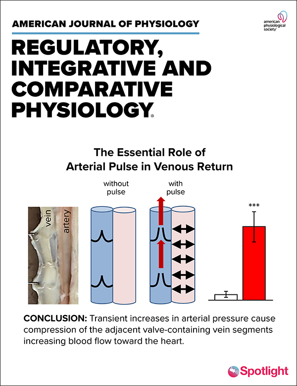 The effect of dietary intake on apneic performance, cardiovascular and splenic responses during repeated breath holds