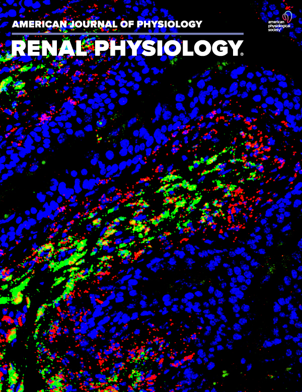 Intracellular sites of AQP2 S256 phosphorylation identified using inhibitors of the AQP2 recycling itinerary