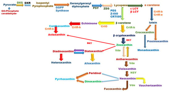 CIMB, Vol. 44, Pages 6257-6279: Microalgal Carotenoids: Therapeutic Application and Latest Approaches to Enhance the Production