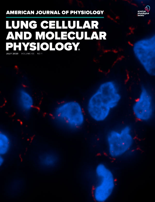 Mitoquinone mesylate attenuates pathologic features of lean and obese allergic asthma in mice