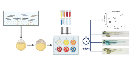 Toxics, Vol. 11, Pages 8: Discovering Novel Bioactivities of Controversial Food Additives by Means of Simple Zebrafish Embryotoxicity (ZET) Assays