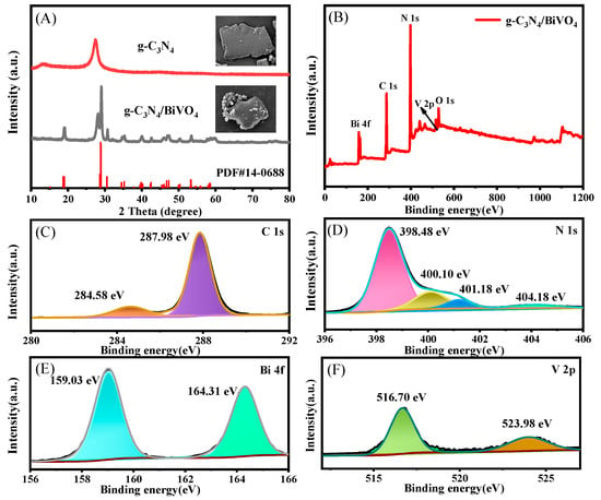 Toxics, Vol. 11, Pages 17: Designing a Stable g-C3N4/BiVO4-Based Photoelectrochemical Aptasensor for Tetracycline Determination