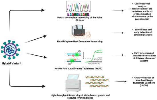 Vaccines, Vol. 11, Pages 45: Immunological Studies to Understand Hybrid/Recombinant Variants of SARS-CoV-2