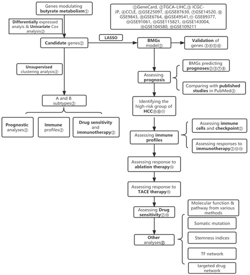 Biomolecules, Vol. 13, Pages 52: Genes Modulating Butyrate Metabolism for Assessing Clinical Prognosis and Responses to Systematic Therapies in Hepatocellular Carcinoma