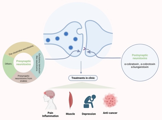 Toxins, Vol. 15, Pages 18: Neurotoxins Acting at Synaptic Sites: A Brief Review on Mechanisms and Clinical Applications