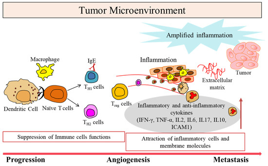 Vaccines, Vol. 11, Pages 59: Advancements in Cancer Immunotherapies