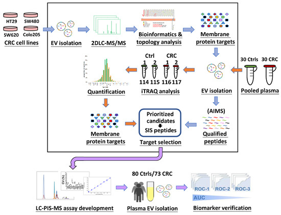 Cancers, Vol. 15, Pages 177: Extracellular Vesicle Membrane Protein Profiling and Targeted Mass Spectrometry Unveil CD59 and Tetraspanin 9 as Novel Plasma Biomarkers for Detection of Colorectal Cancer