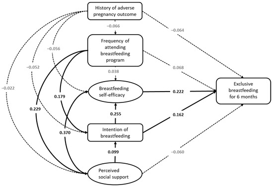 Healthcare, Vol. 11, Pages 87: Maternal Characteristics, Intention, Self-Efficacy, Perceived Social Support, and Exclusive Breastfeeding Practice: Structural Equation Modeling Approaches