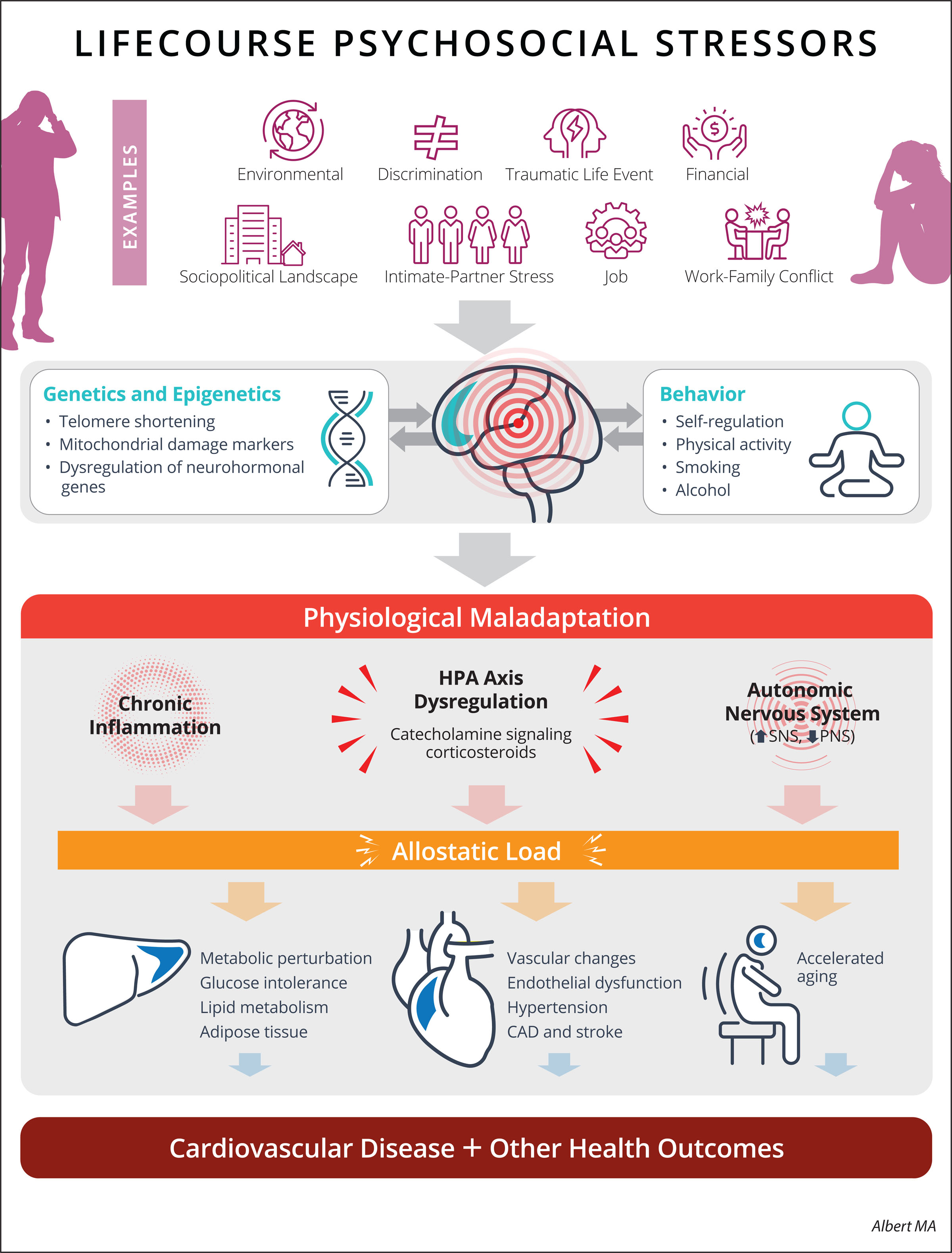 Tackling Adversity and Cardiovascular Health: It is About Time