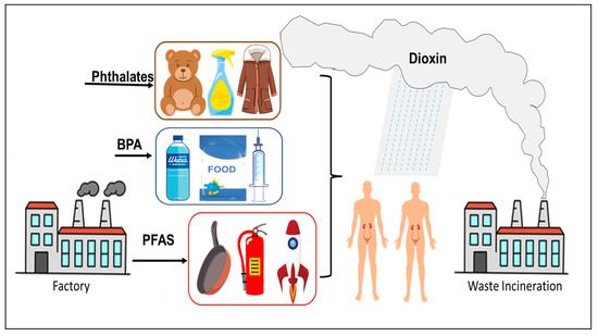 Toxics, Vol. 11, Pages 32: The Relationship between Typical Environmental Endocrine Disruptors and Kidney Disease