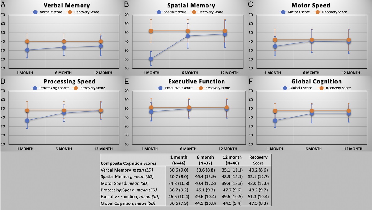 Baseline Function and Rehabilitation Are as Important as Stroke Severity as Long-term Predictors of Cognitive Performance Post-stroke