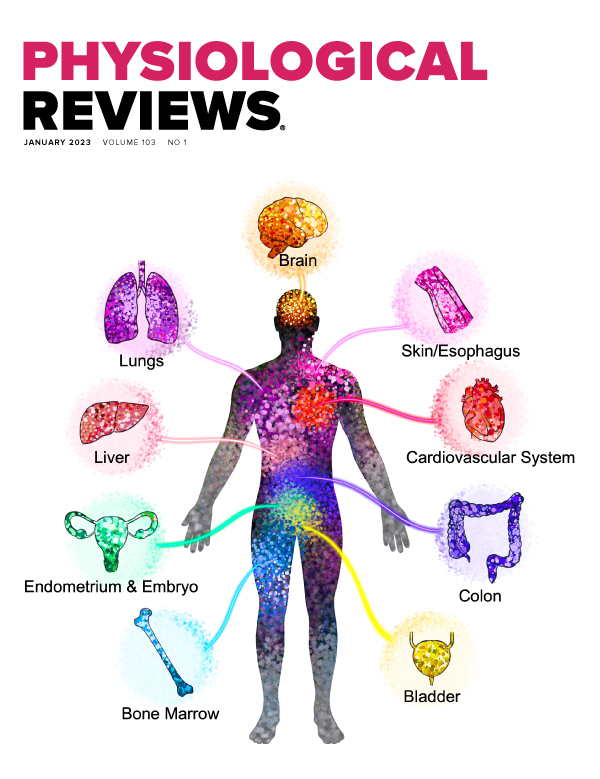 Mesenchymal Condensation in Tooth Development and Regeneration: a Focus on Translational Aspects of Organogenesis