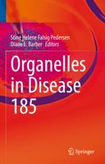 Endosomal Acid-Base Homeostasis in Neurodegenerative Diseases