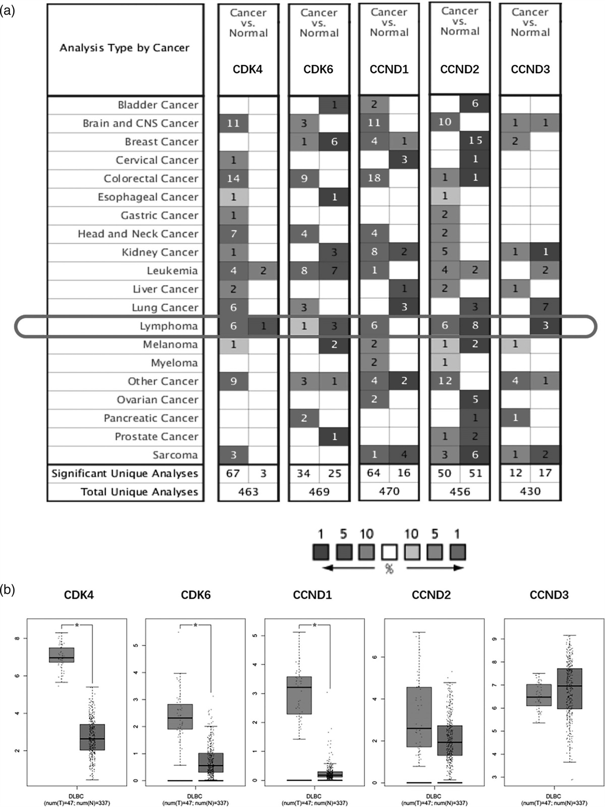 Palbociclib enhances the effect of doxorubicin-induced apoptosis in activated B-cell–like diffuse large B-cell lymphoma cells