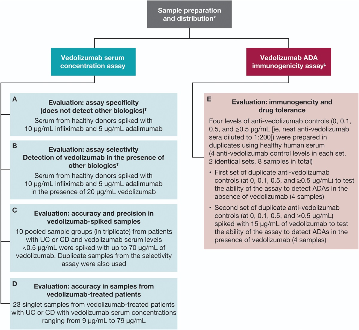 Measuring Serum Vedolizumab and Vedolizumab Antibodies: Comparison of Commercial Assays with the Vedolizumab Clinical Development Assay