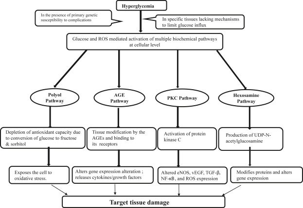 Update on Medical Management of Diabetes