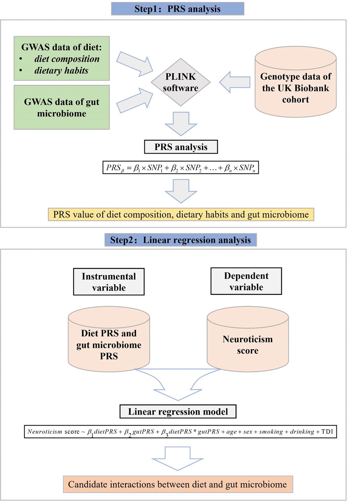 Evaluating the genetic interaction effects of gut microbiome and diet on the risk of neuroticism in the UK Biobank cohort