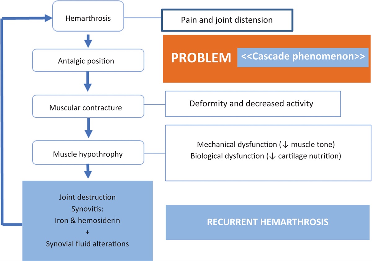 A contemporary approach to the musculoskeletal problems associated with hemophilia