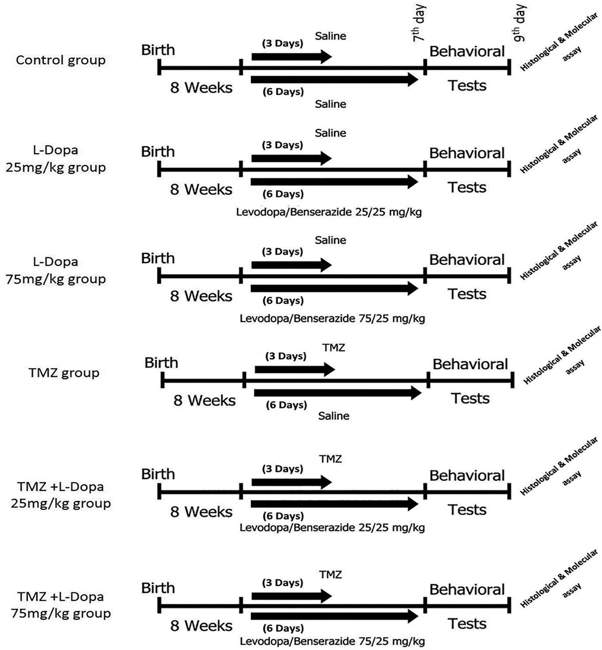 Effect of l-Dopa in acute temozolomide-induced cognitive impairment in male mice: a possible antineuroinflammatory role