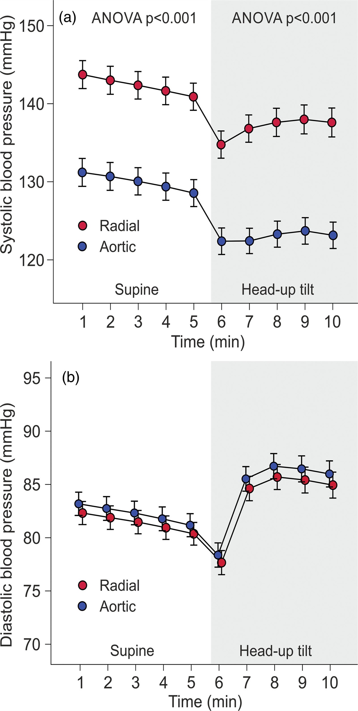 Ambulatory daytime blood pressure versus tonometric blood pressure measurements in the laboratory: effect of posture