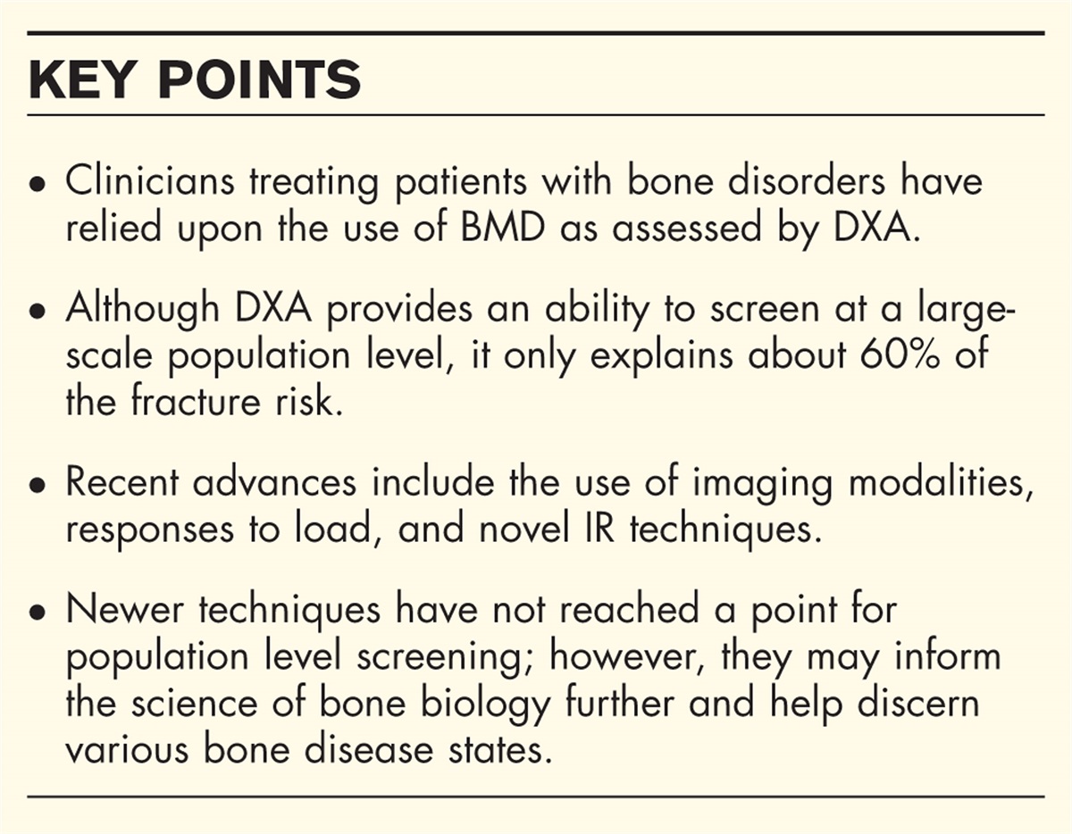 Novel techniques for assessment of bone tissue material properties