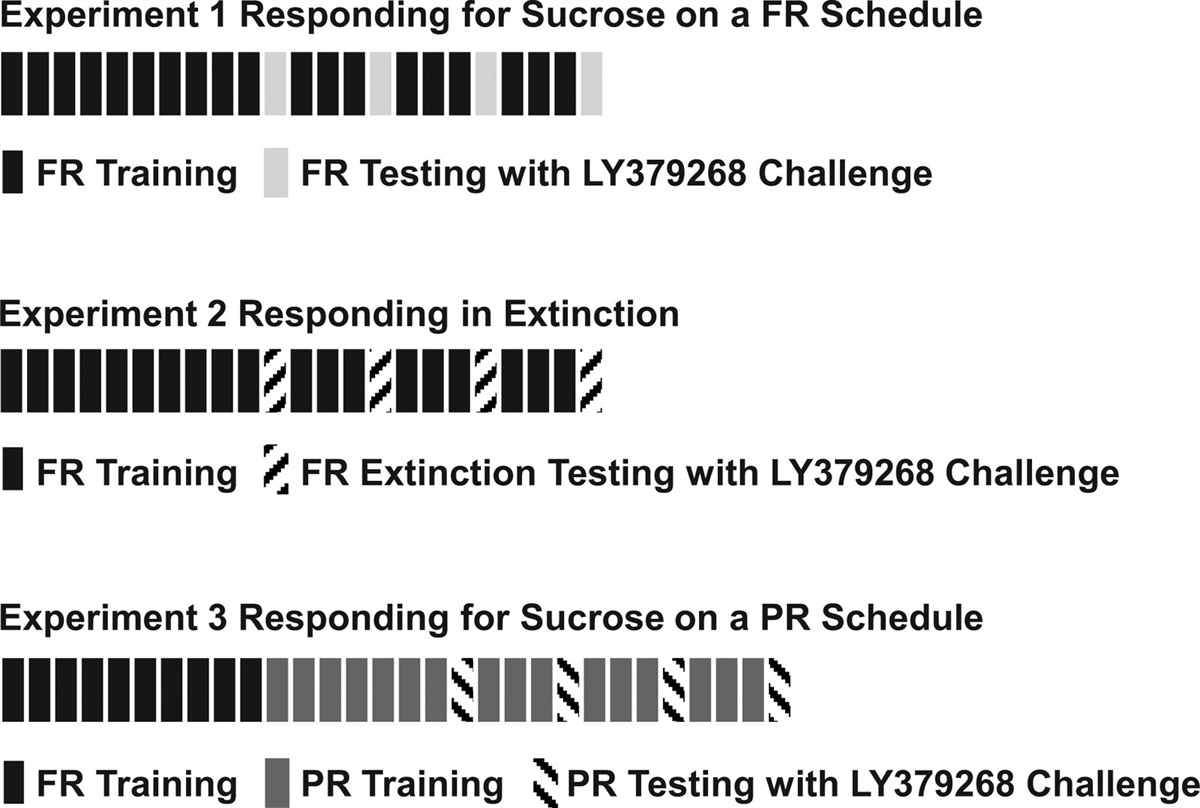 The mGlu2/3 agonist LY379268 reduces sucrose taking, seeking, and motivation in male and female rats