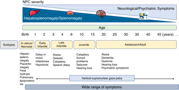 Understanding the phenotypic variability in Niemann-Pick disease type C (NPC): a need for precision medicine