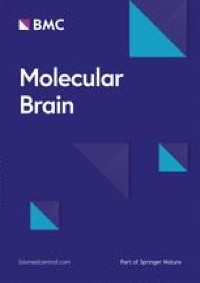 Inhibitory insula-ACC projections modulate affective but not sensory aspects of neuropathic pain