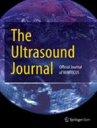 Transesophageal echocardiography (TEE)-guided transvenous pacing (TVP) in emergency department