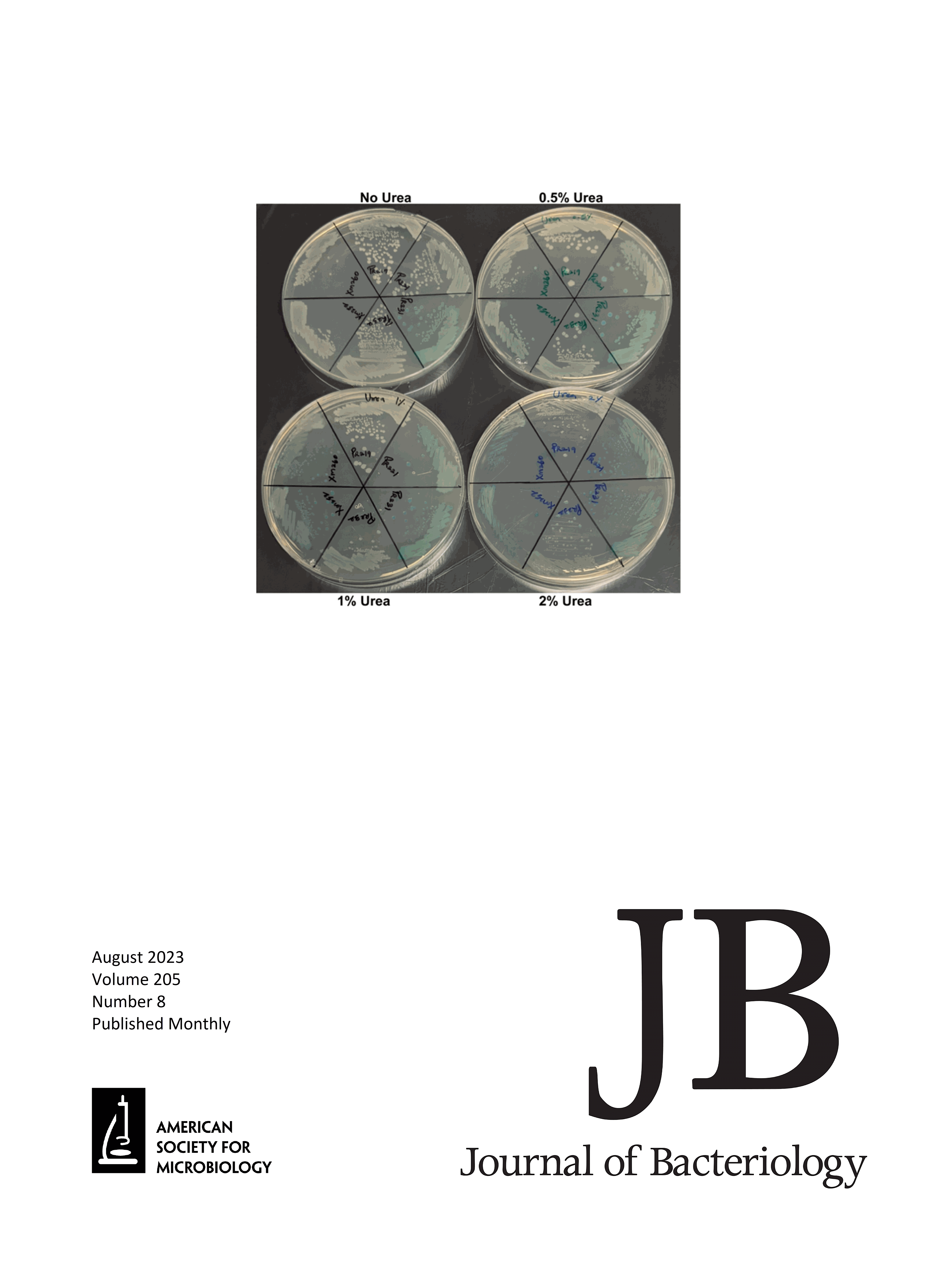 Mechanisms of Regulation of Cryptic Prophage-Encoded Gene Products in Escherichia coli