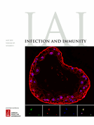 Formate production is dispensable for Haemophilus ducreyi virulence in human volunteers