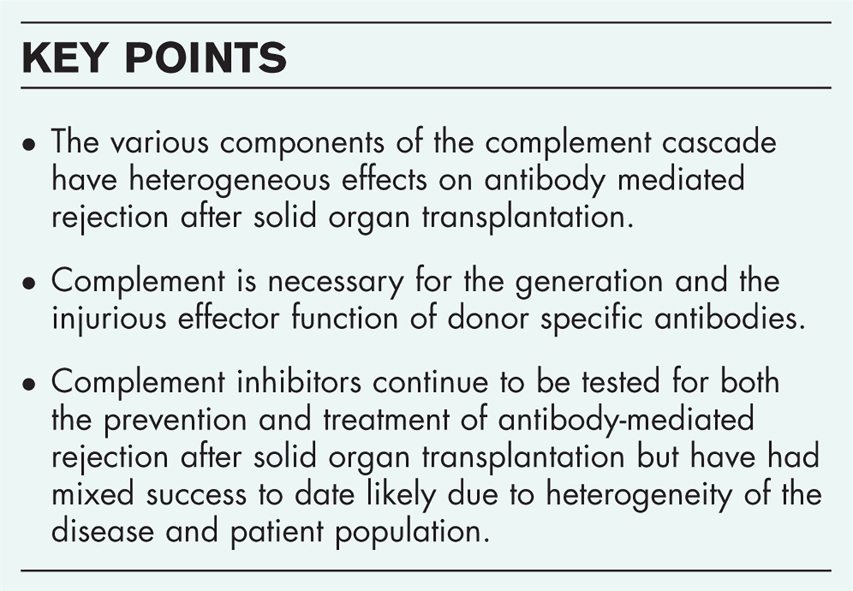 Role of complement in humoral immunity