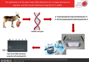 Establishment of deer heart Identification method and development of the detection kit based on mitochondrial cytochrome B gene