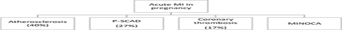 Common Cardiovascular Diseases in Women