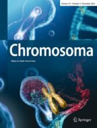 H3K9 and H4K20 methyltransferases are directly involved in the heterochromatinization of the paternal chromosomes in male Planococcus citri embryos