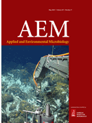 Metagenome meta-analysis reveals an increase in the abundance of some multidrug efflux pumps and mobile genetic elements in chemically polluted environments