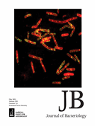 Proteomic survey of the DNA damage response in Caulobacter crescentus