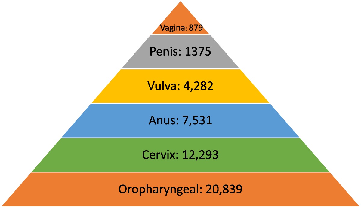 Understanding Sexual and Gender Minority Populations and Organ-Based Screening Recommendations for Human Papillomavirus–Related Cancers