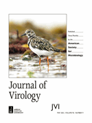 Single-molecule-binding studies of antivirals targeting the hepatitis C virus core protein