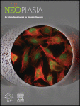 ΔNp63 silencing, DNA methylation shifts, and epithelial-mesenchymal transition resulted from TAp63 genome editing in squamous cell carcinoma