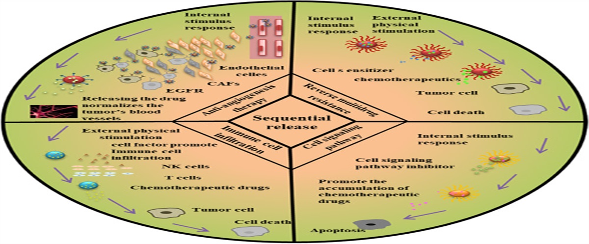 The Application of Nano-drug Delivery System With Sequential Drug Release Strategies in Cancer Therapy