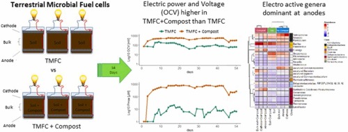 Effects of municipal waste compost on microbial biodiversity and energy production in terrestrial microbial fuel cells