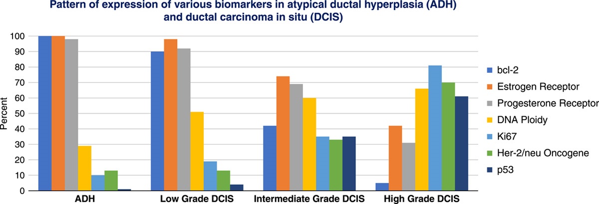 Is it Time to Retire the Term of Low-Grade Ductal Carcinoma in Situ and Replace it With Ductal Neoplasia?