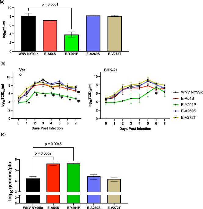 Identification of the flavivirus conserved residues in the envelope protein hinge region for the rational design of a candidate West Nile live-attenuated vaccine